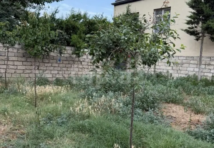 5.5 sot Torpaq Satılır, Qaraçuxur qəs., Suraxanı, Bakı