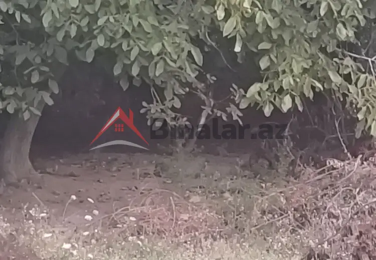 0 sot Torpaq Satılır, Biləsuvar