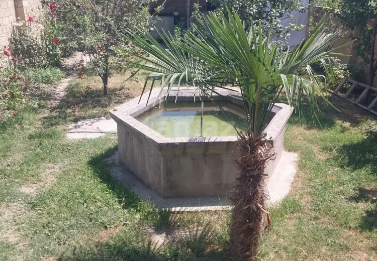 5 otaqlı mənzil , Şəki