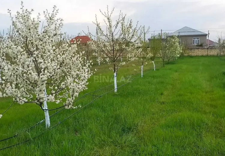 80 sot Torpaq Satılır, Quba