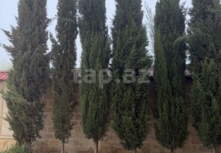 8 otaqlı mənzil , Bakı