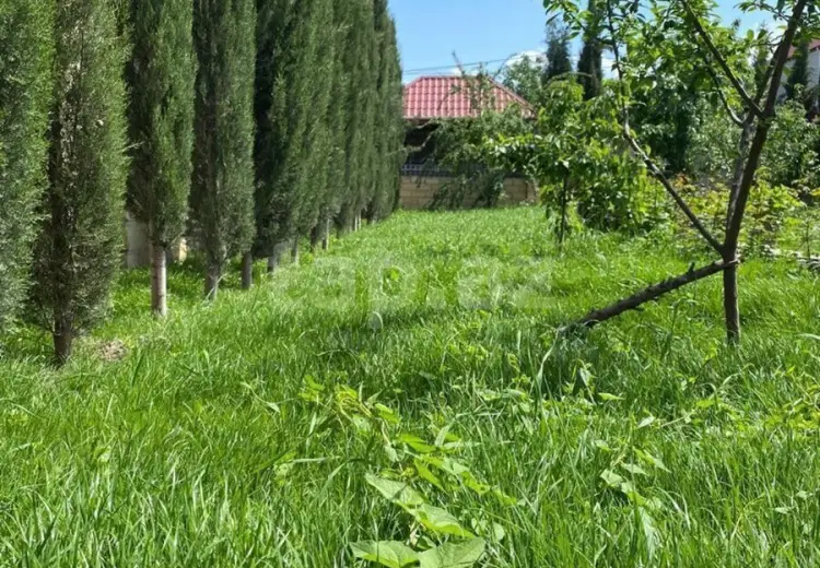 8 otaqlı mənzil , Bakı