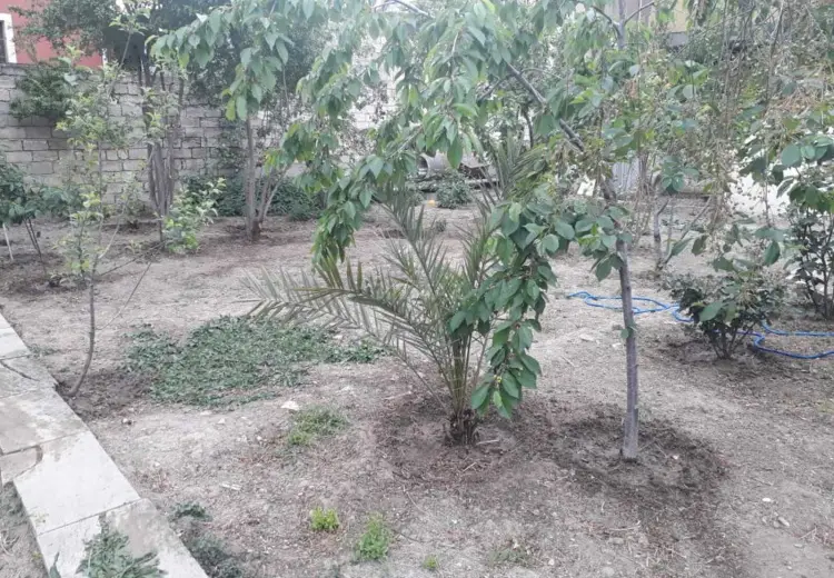 2.9 sot Torpaq Satılır, Bakıxanov qəs., Sabunçu, Bakı
