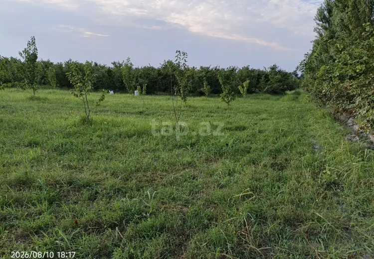 0 m² Obyekt / Ofis , Xaçmaz
