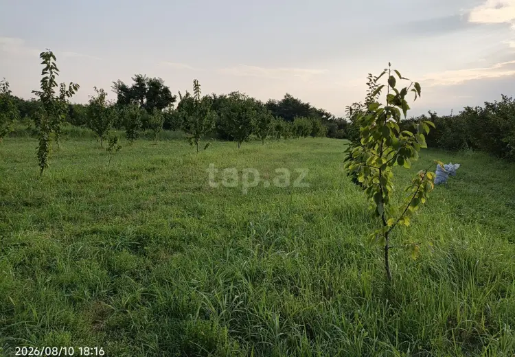0 m² Obyekt / Ofis , Xaçmaz