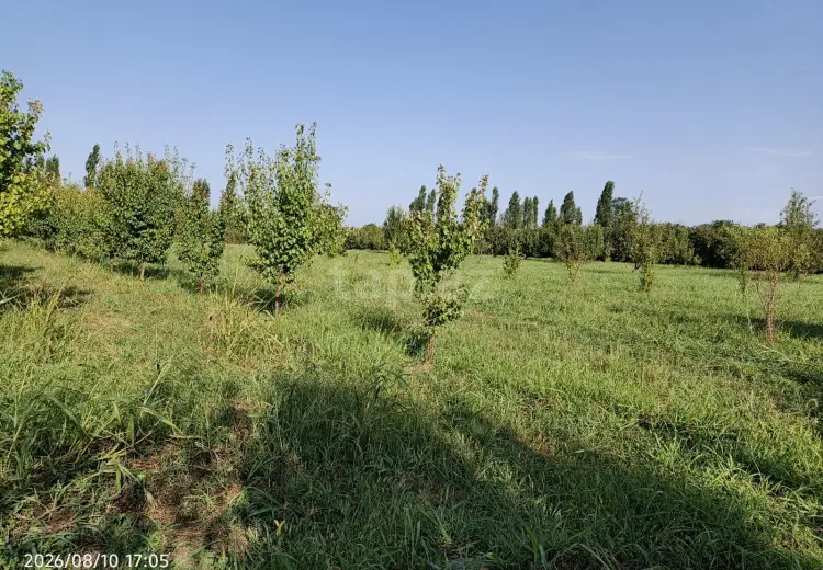 0 m² Obyekt / Ofis , Xaçmaz
