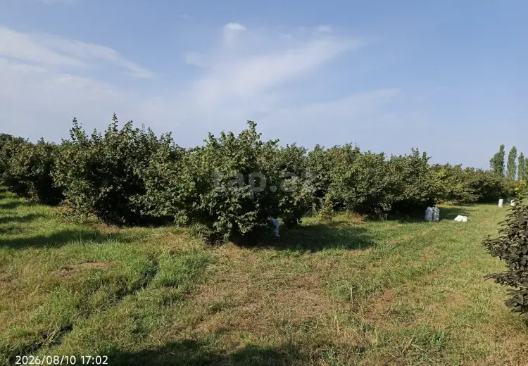 0 m² Obyekt / Ofis , Xaçmaz