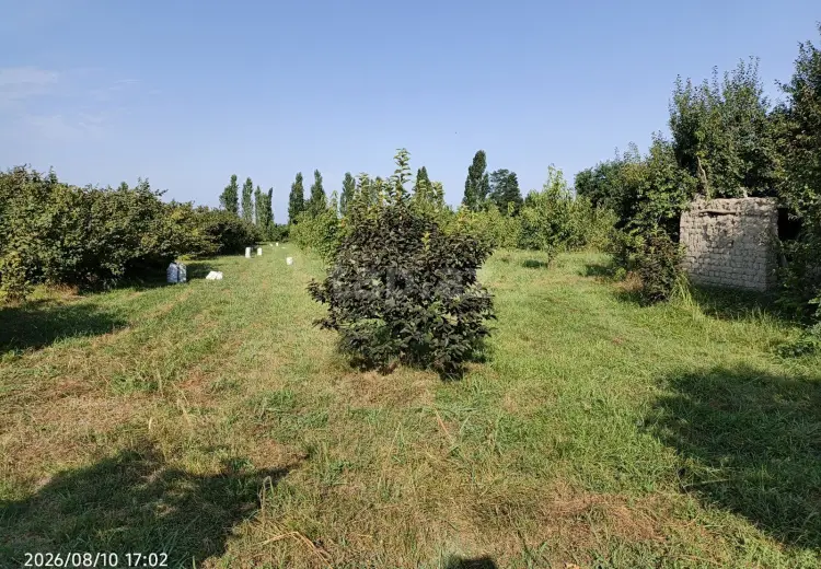 0 m² Obyekt / Ofis , Xaçmaz