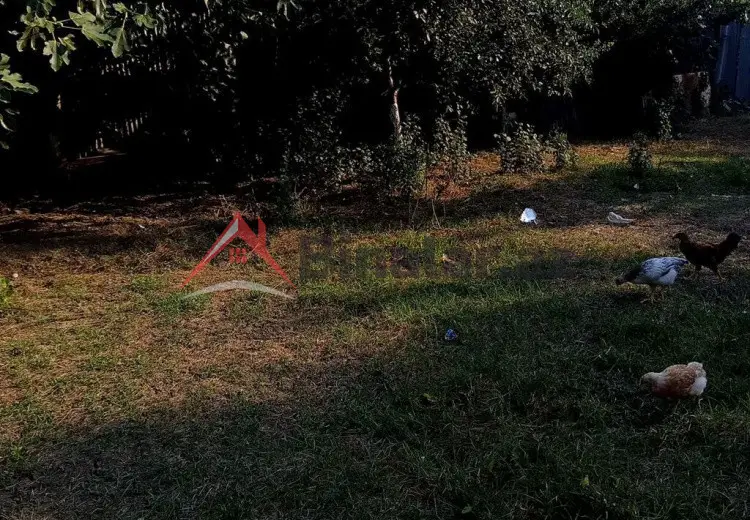 0 sot Torpaq Satılır, Masallı