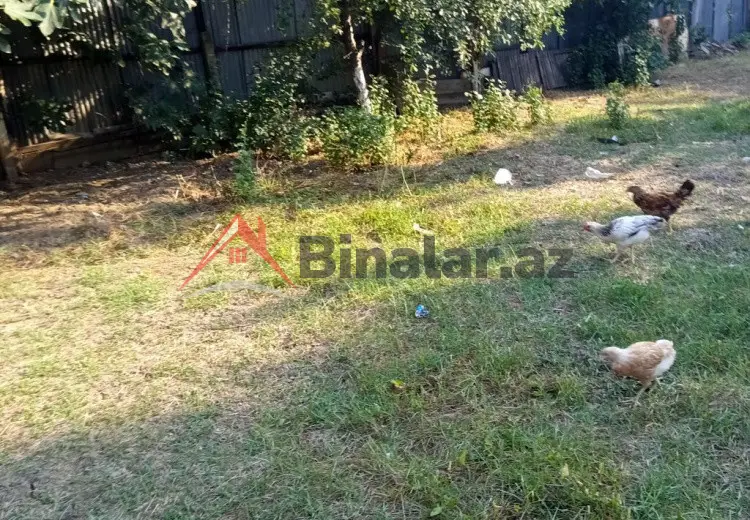 0 sot Torpaq Satılır, Masallı