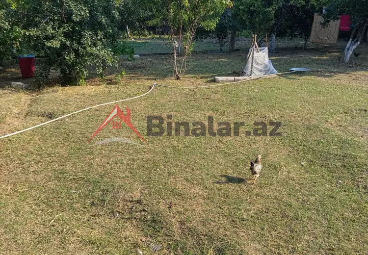 0 sot Torpaq Satılır, Masallı