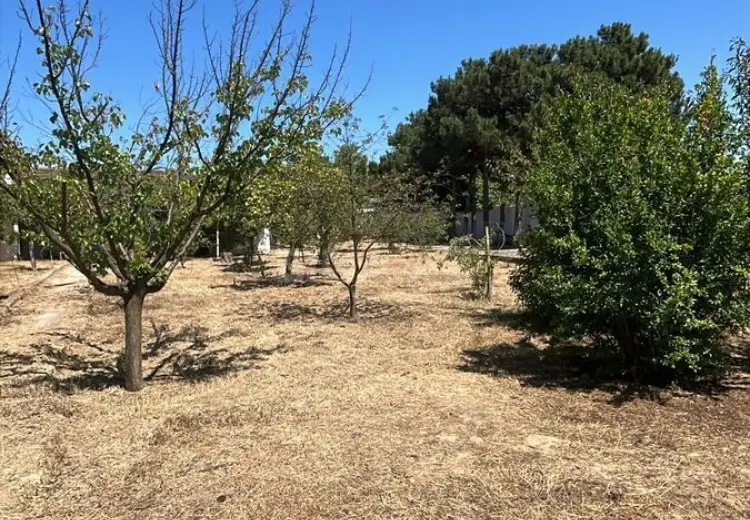 22 sot Torpaq Satılır, Mərdəkan, Xəzər, Bakı