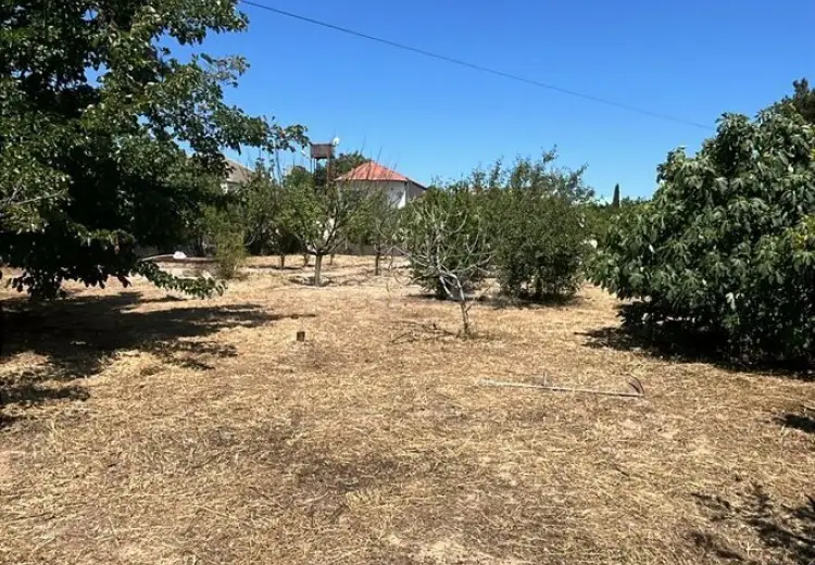22 sot Torpaq Satılır, Mərdəkan, Xəzər, Bakı