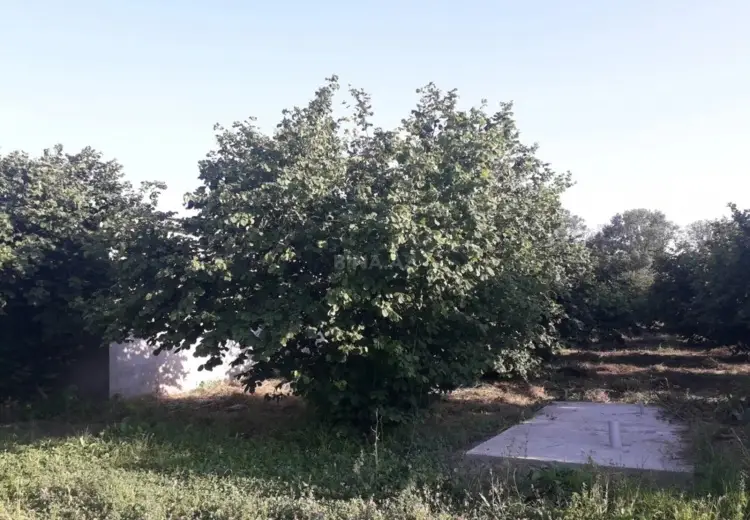 3 otaqlı mənzil Satılır, Qəbələ