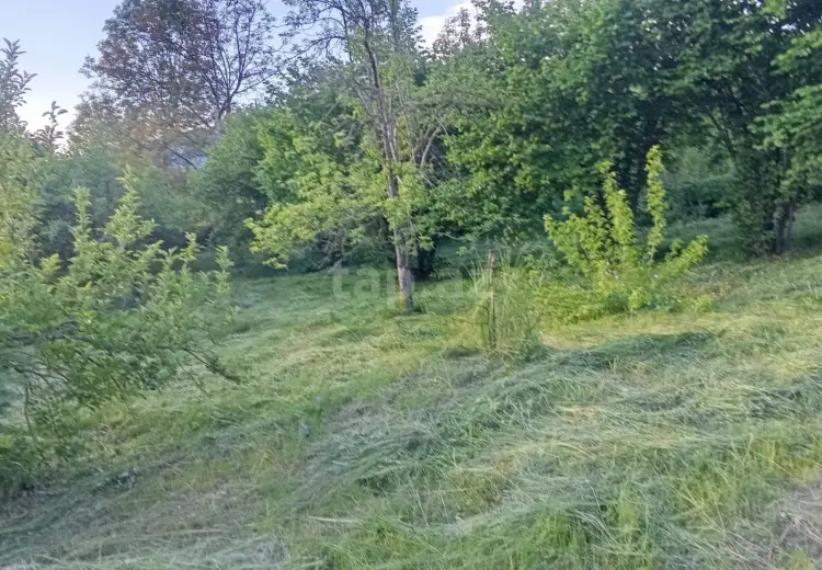 6 otaqlı mənzil , Şəki