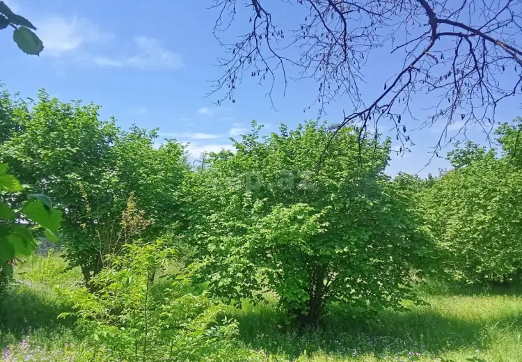 6 otaqlı mənzil , Şəki