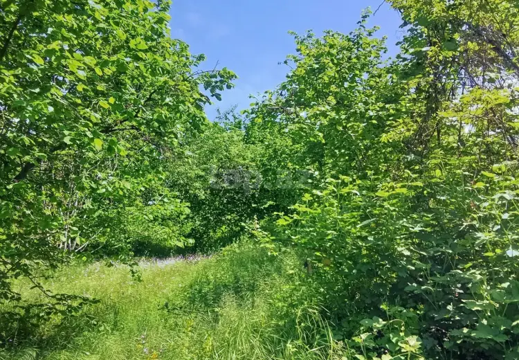 6 otaqlı mənzil , Şəki