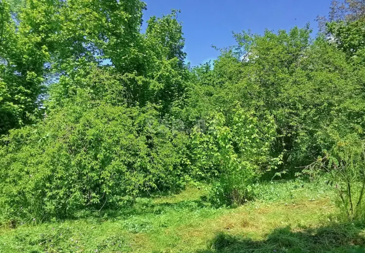 6 otaqlı mənzil , Şəki