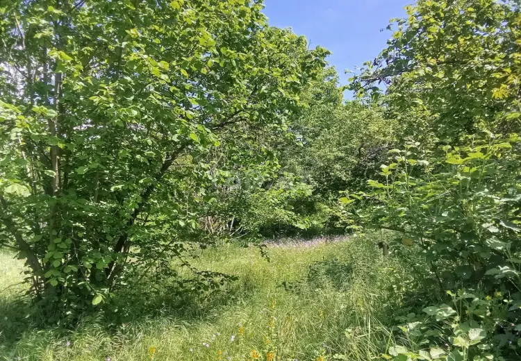 6 otaqlı mənzil , Şəki