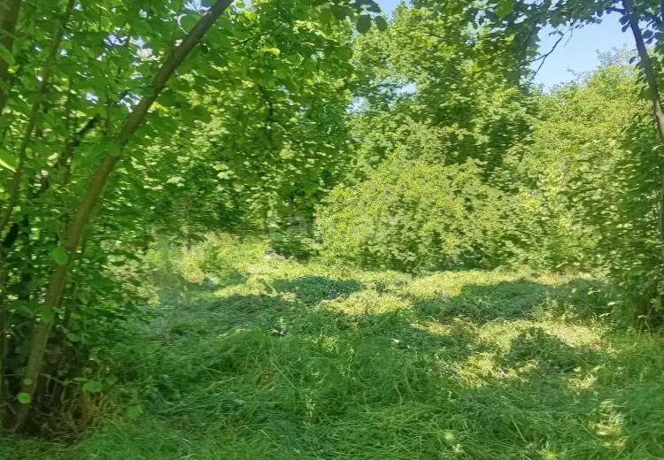 6 otaqlı mənzil , Şəki