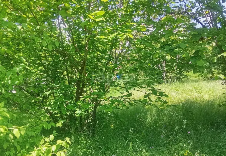 6 otaqlı mənzil , Şəki
