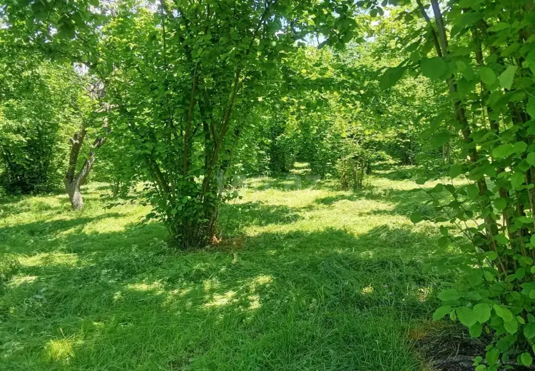 6 otaqlı mənzil , Şəki