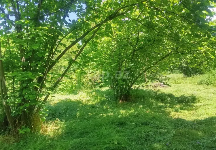 6 otaqlı mənzil , Şəki