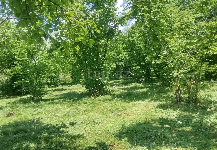 6 otaqlı mənzil , Şəki