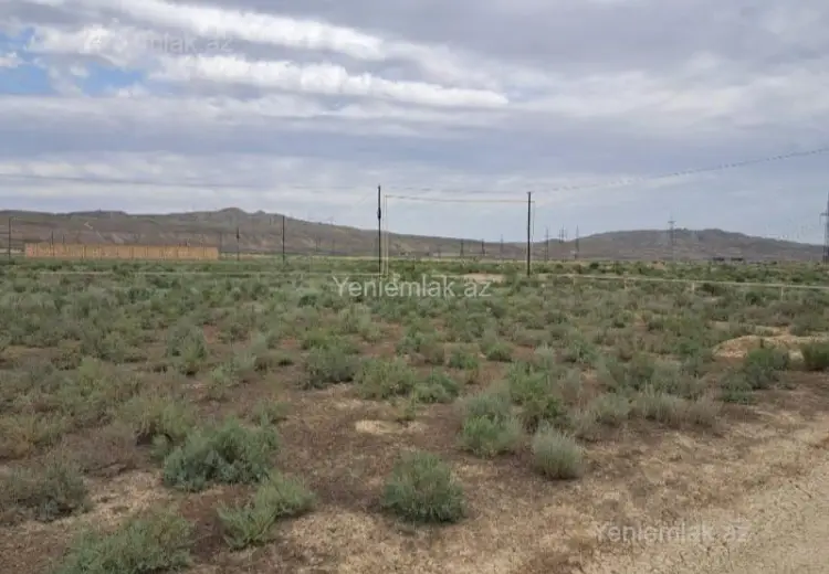 12 sot Torpaq Satılır, Şirvan