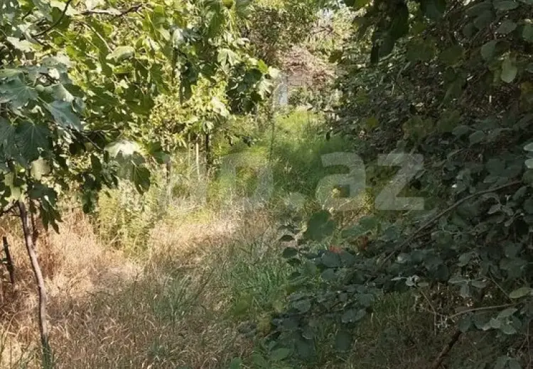 0 m² Obyekt / Ofis , Lənkəran