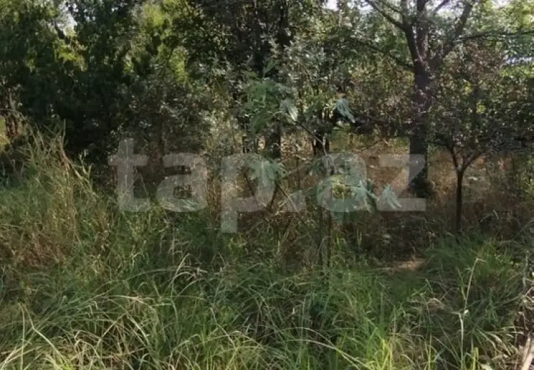 0 m² Obyekt / Ofis , Lənkəran