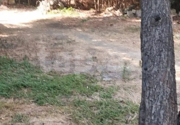 0 m² Obyekt / Ofis , Lənkəran