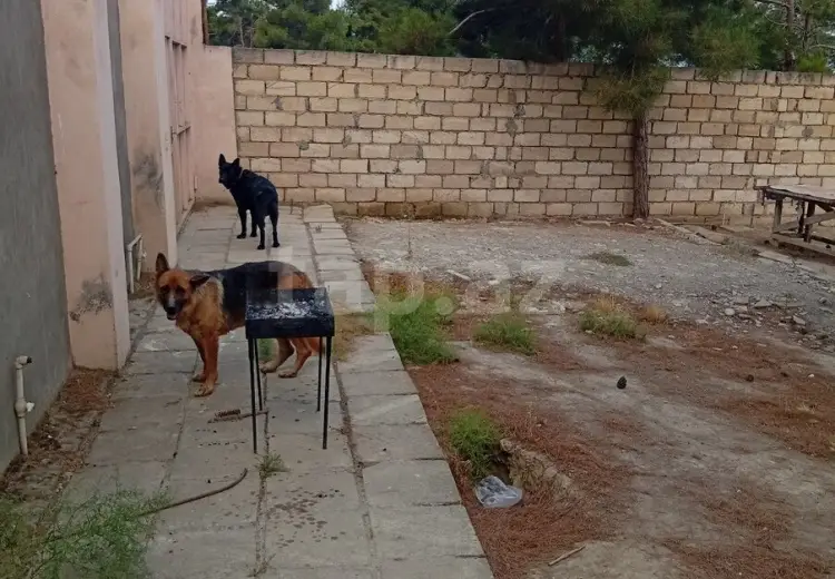 2 otaqlı mənzil , Ceyranbatan qəs., Abşeron