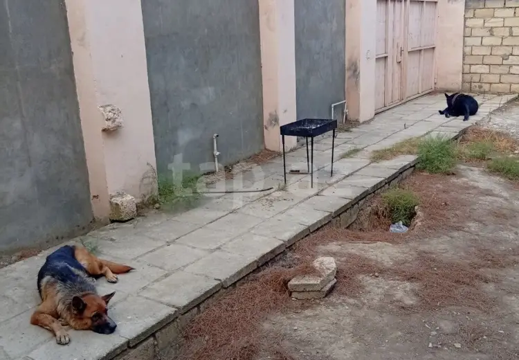 2 otaqlı mənzil , Ceyranbatan qəs., Abşeron