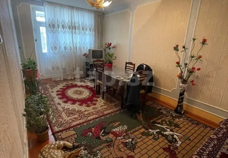 5 otaqlı mənzil , Gəncə