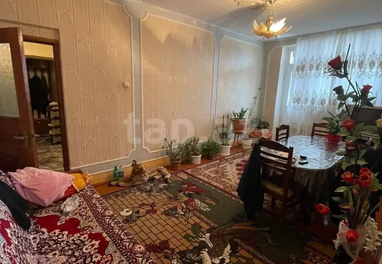 5 otaqlı mənzil , Gəncə
