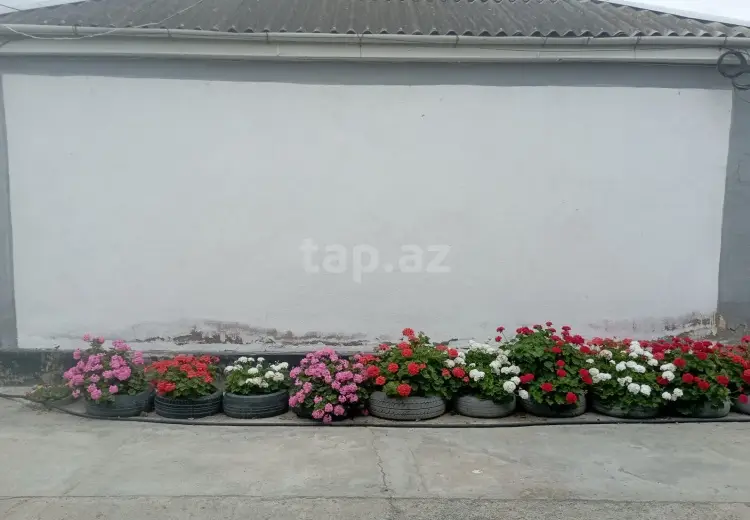 4 otaqlı mənzil , Xaçmaz