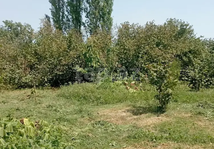 4 otaqlı mənzil , Xaçmaz