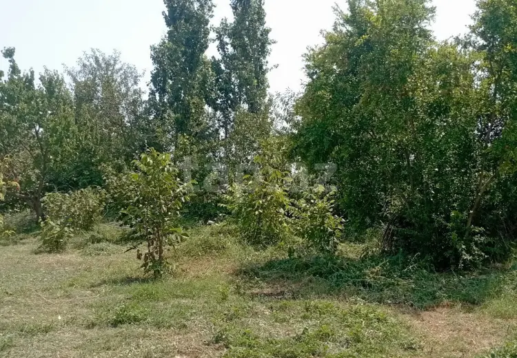 4 otaqlı mənzil , Xaçmaz