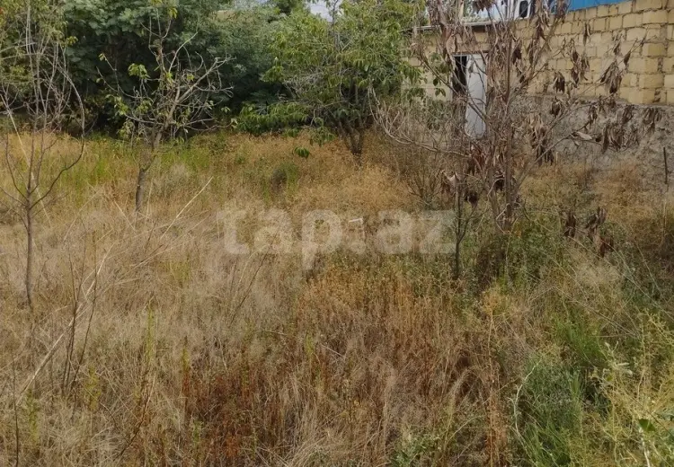 3 otaqlı mənzil , Gəncə
