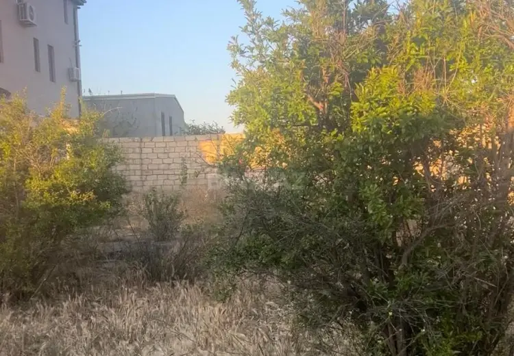 4 sot Torpaq Satılır, Pirşağı qəs., Sabunçu, Bakı
