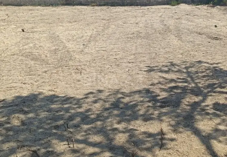 19 sot Torpaq Satılır, Novxanı, Abşeron