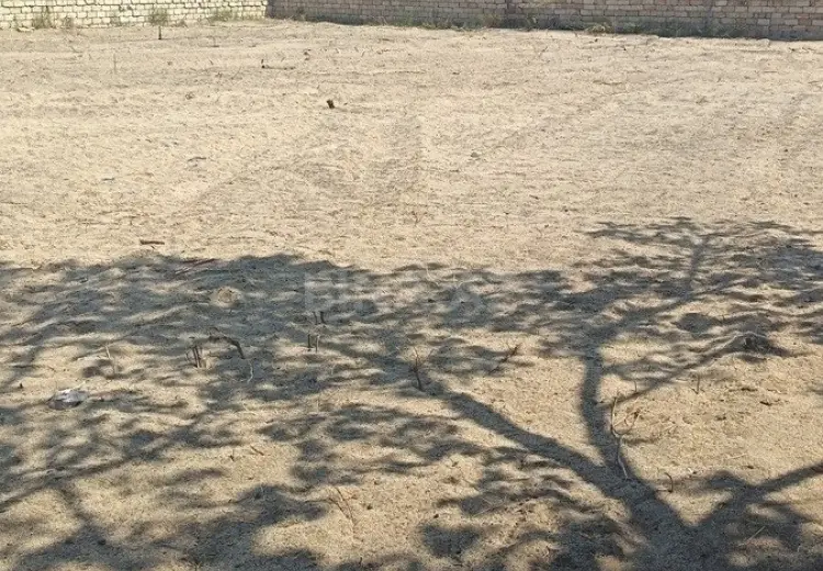 19 sot Torpaq Satılır, Novxanı, Abşeron