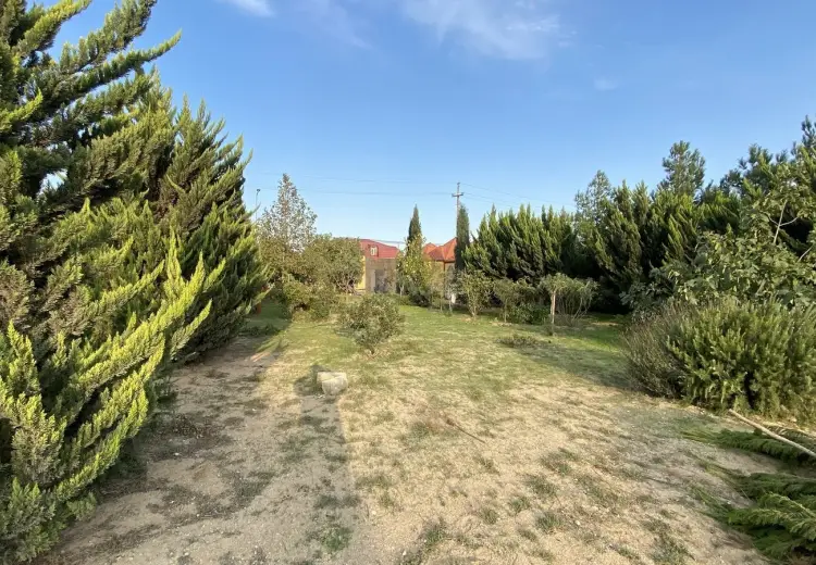 12 sot Torpaq Satılır, Sabunçu, Bakı