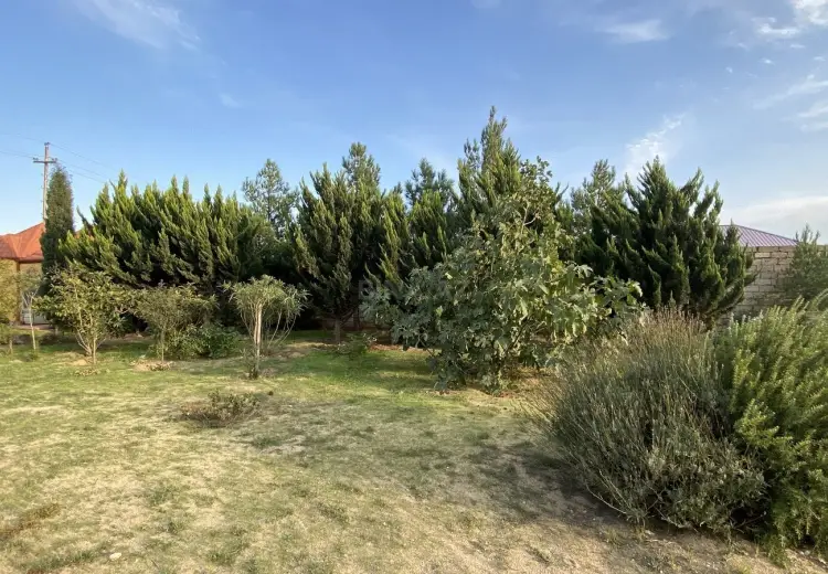 12 sot Torpaq Satılır, Sabunçu, Bakı