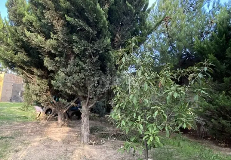 12 sot Torpaq Satılır, Sabunçu, Bakı