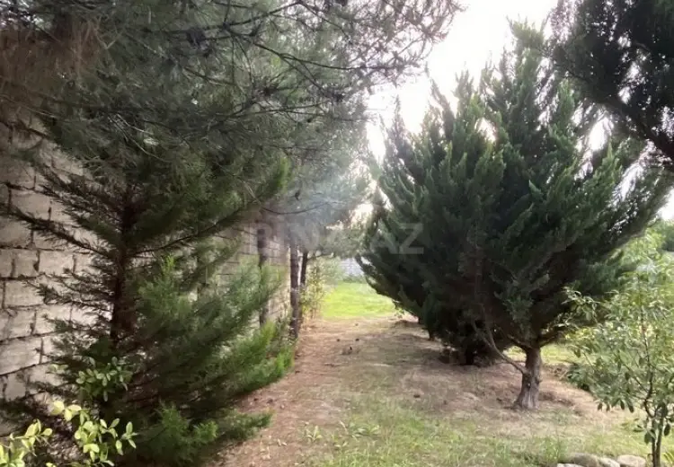 12 sot Torpaq Satılır, Sabunçu, Bakı