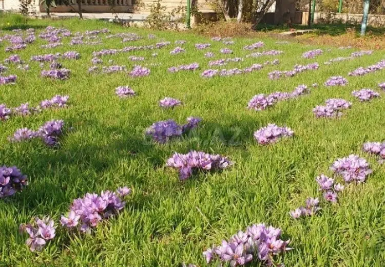 4 otaqlı mənzil Satılır, Nardaran qəs., Sabunçu, Bakı