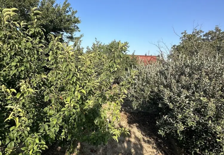 4 otaqlı mənzil Satılır, Nardaran qəs., Sabunçu, Bakı
