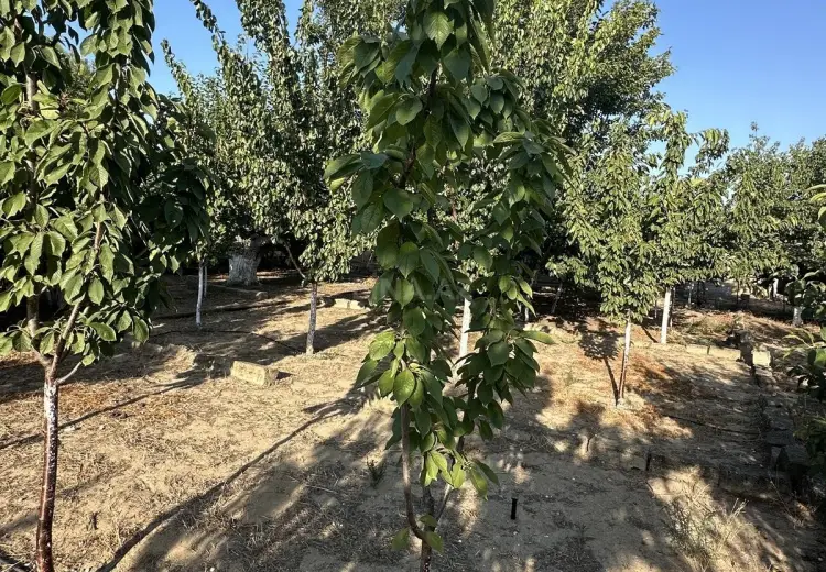 4 otaqlı mənzil Satılır, Nardaran qəs., Sabunçu, Bakı